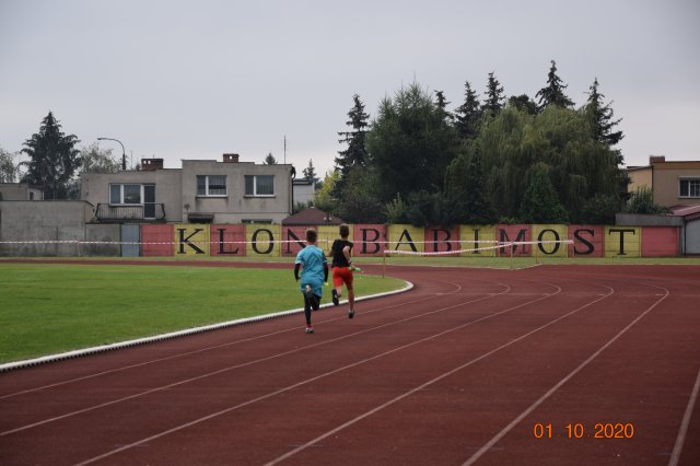 biegip 8
